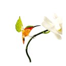 Längenverstellbarer Orchideenstab Kolibri...