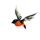 fliegender Dompfaff (Gimpel)