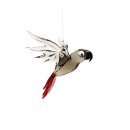 fliegender Graupapagei